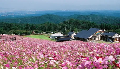 夢の平コスモス荘-2