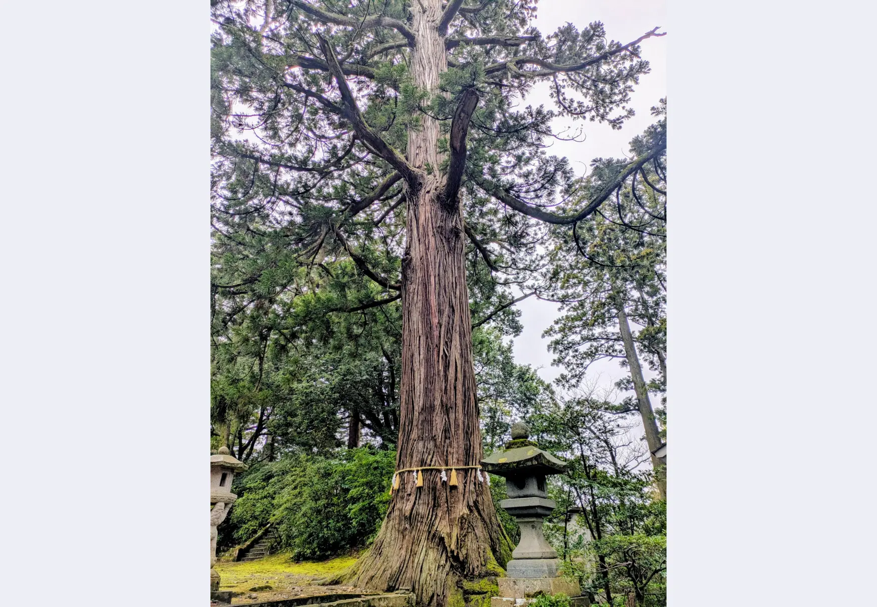 井波八幡宮を参拝
