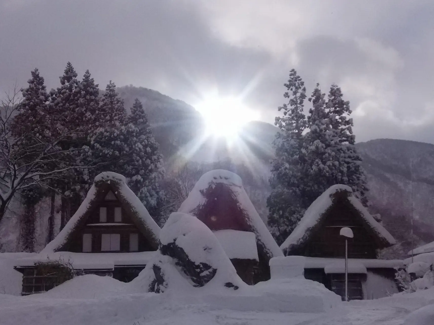 お気に入りの1枚