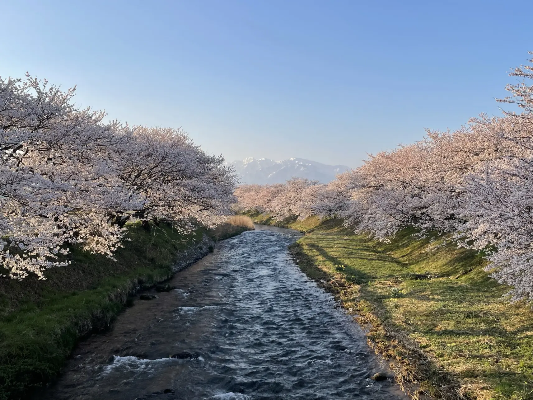 お気に入りの1枚