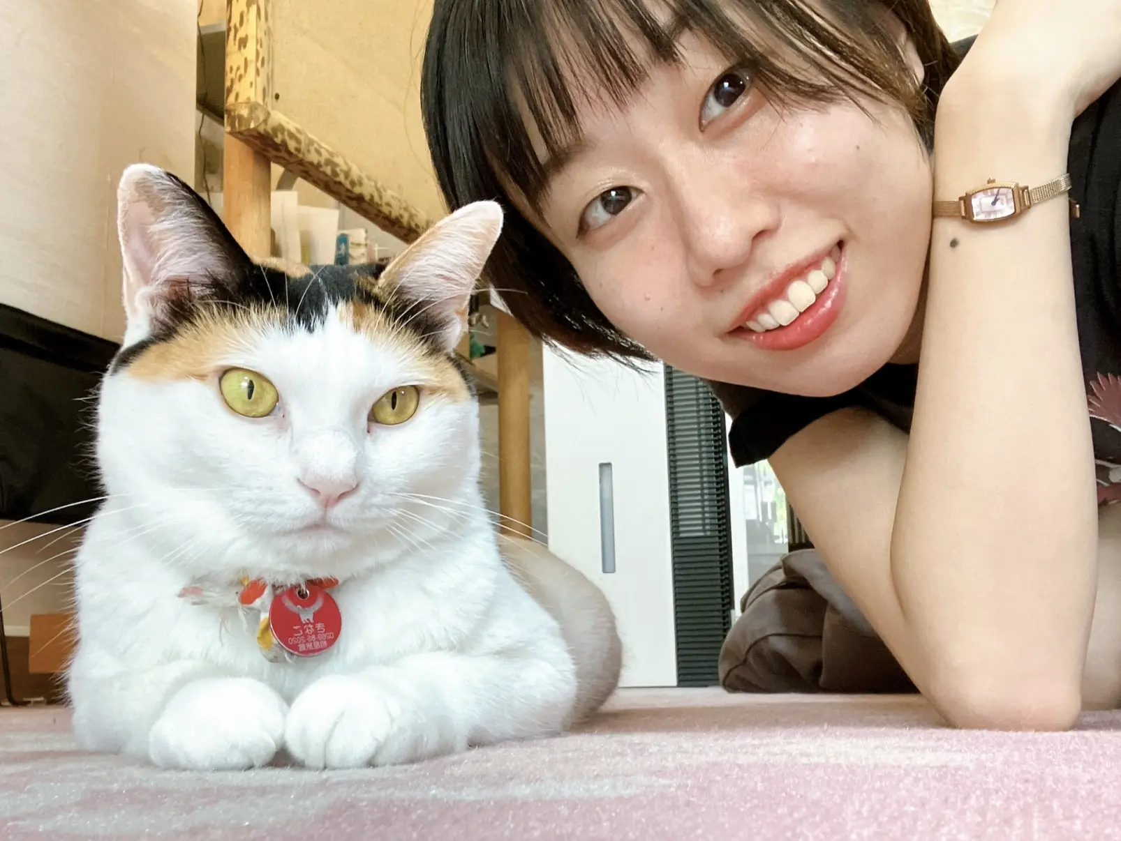 あみ