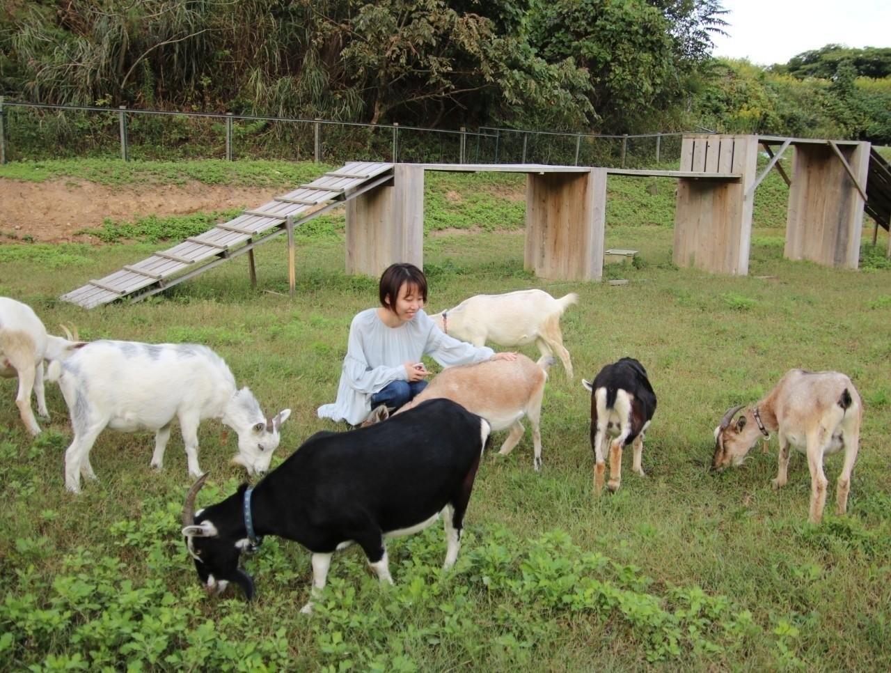 お気に入りの1枚