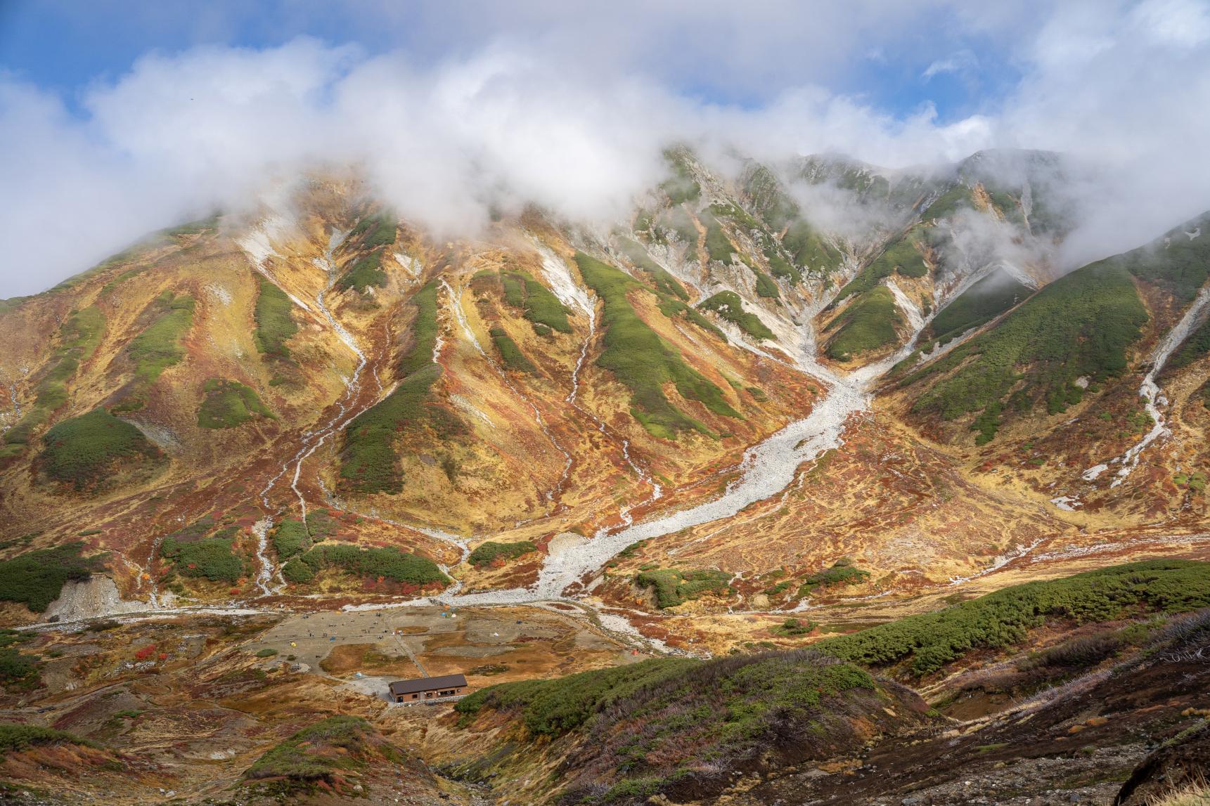お気に入りの1枚